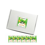 Polpa de Graviola (Guanábana) 1,2kg (12x100g) Brasfrut