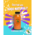 Suco Natural 500ml