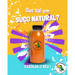 Suco Natural 500ml
